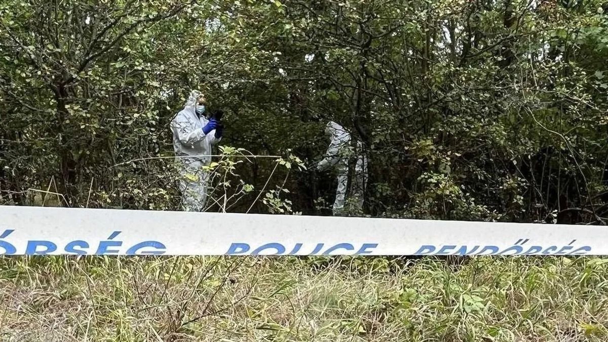 Gördeszkás cipőt viselt a ferencvárosi építkezésen talált csontváz