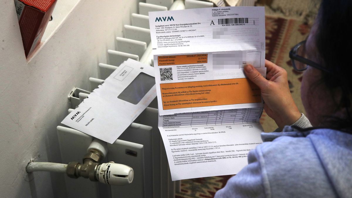 Magyar Péter, Tisza Párt