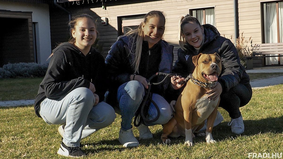 Klujber Katrin, a két húga, Klujber Anna Eliza, Klujber Zsejke és a házikedvenc Zeus. Az FTC válogatott kézilabdázója megmutatta a családi életét