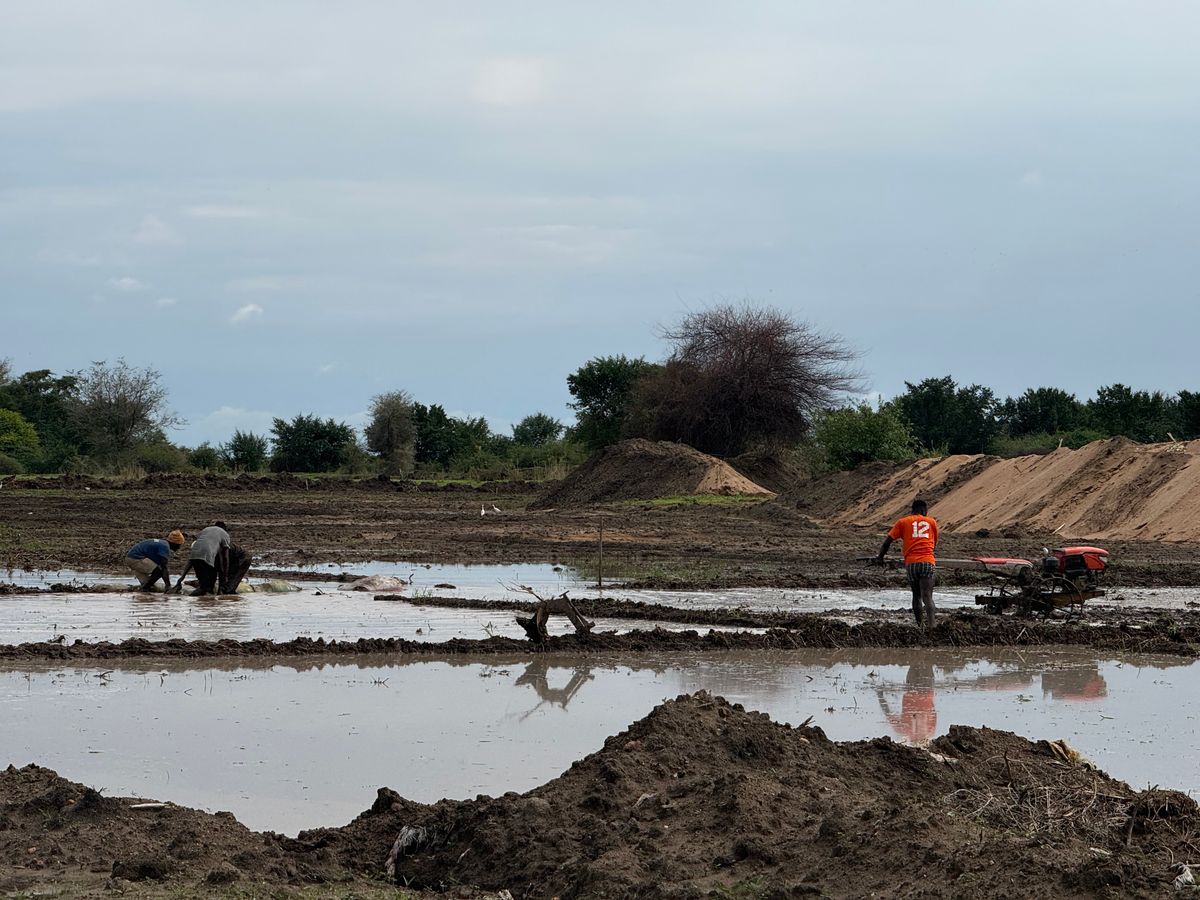 Tanzánia déli részén már legalább húszan meghaltak az áradások és az azok nyomán kialakult földcsuszamlások miatt 