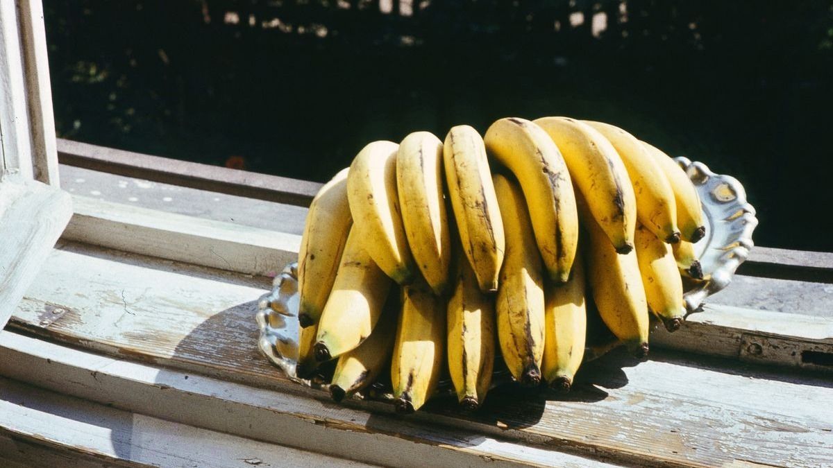 Teljes pánikban Magyar Péter tiszásai: banánosztással kompenzálnának vidéken + videó