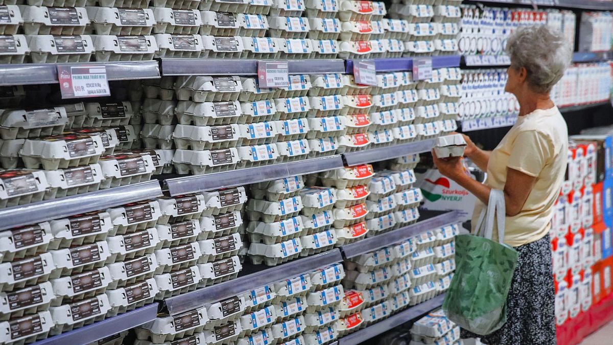 20240828 Budapest CBA Príma Áruház Élelmiszer vásárlás Illusztráció Fotó: Havran Zoltán HZ Magyar Nemzet MN A képen: tojás, DTP