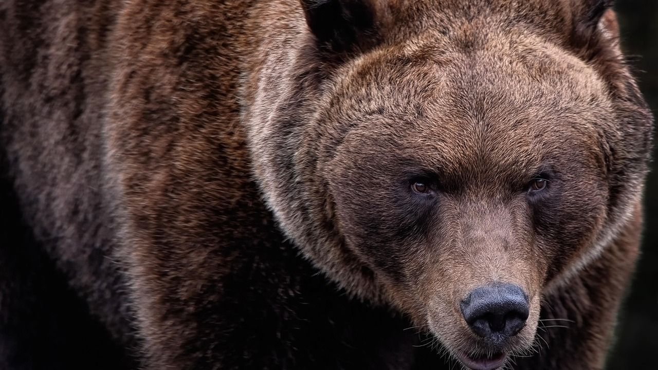 Kvíz kérdést ábrázoló kép.