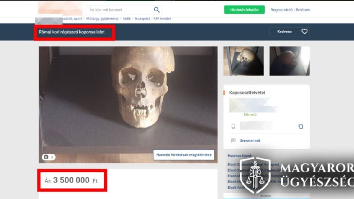 Milliókért árulta az interneten a több mint ezeréves koponyát