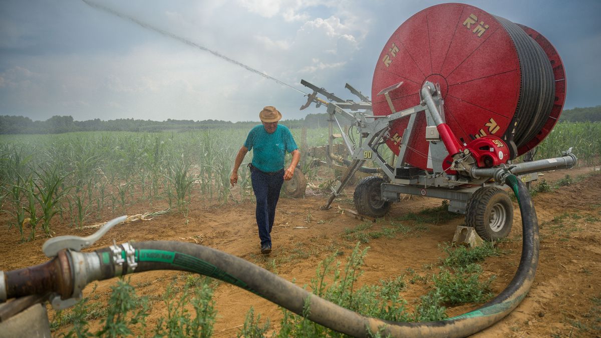 Több mint 45 milliárd forint érkezik a gazdálkodókhoz - 16 ezer termelőt érint