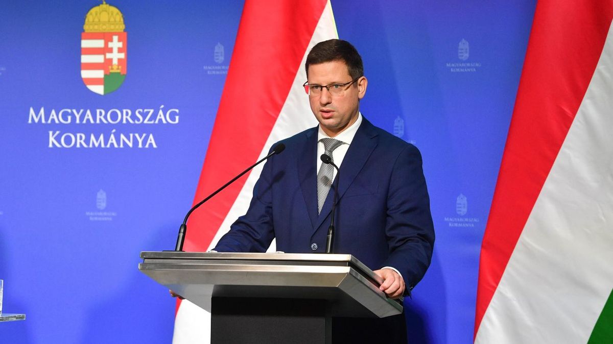 Gulyás Gergely, a Miniszterelnökséget vezető miniszter (Fotó: MTI/Bruzák Noémi)