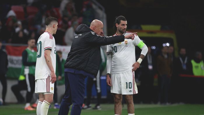 Magyarország-Szlovénia válogatott éabdarúgó mérkőzés