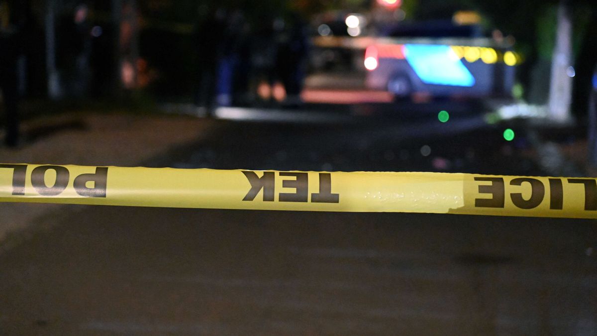 Pintér Sándor: A terrorveszély miatt a V4-ek és Ausztria együttműködését növelni kell!