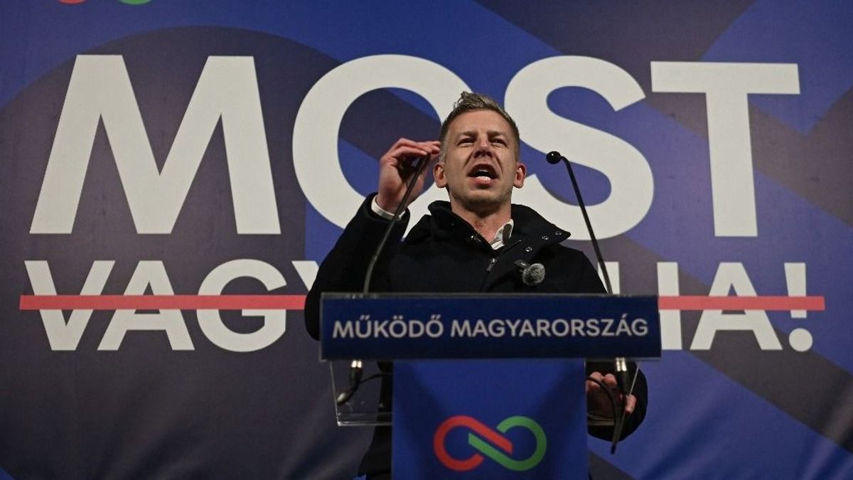 Újabb videó bizonyítja: Magyar Péterre várnak az ukránok