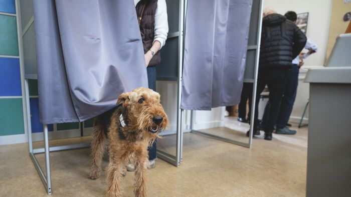 szavazás, választás