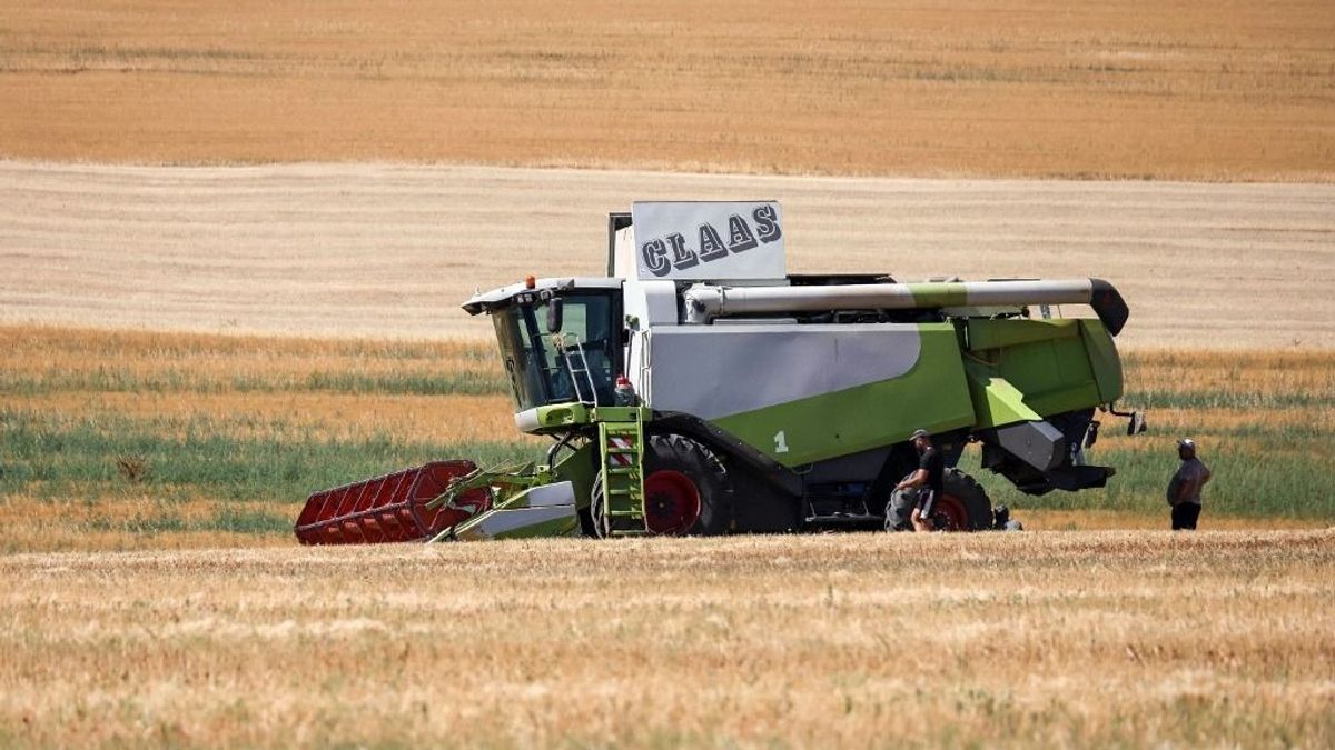 Ukrán gabona miatt robbant ki diplomáciai feszültség Ukrajna és Izrael között