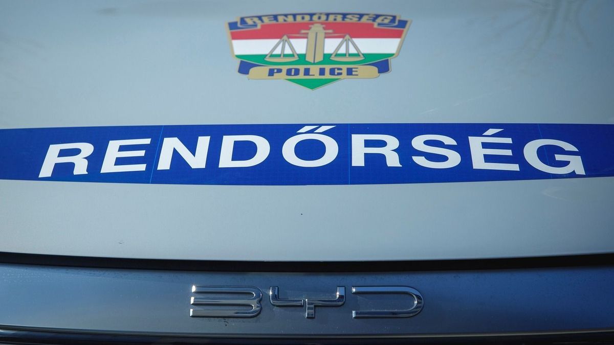 20250210 Budapest
Rendőrség Állásbörze
A Budapesti Rendőr-főkapitányság és a Készenléti Rendőrség állásbörzéje.

Fotó: Vémi Zoltán VZ
Világgazdaság VG

A képen: BYD autó
rendőrautó
