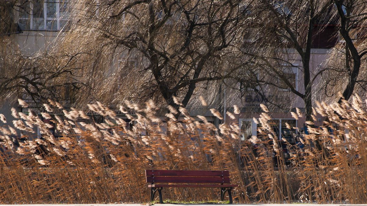Feltámad a viharos szél, estére az eső is megérkezik + videó