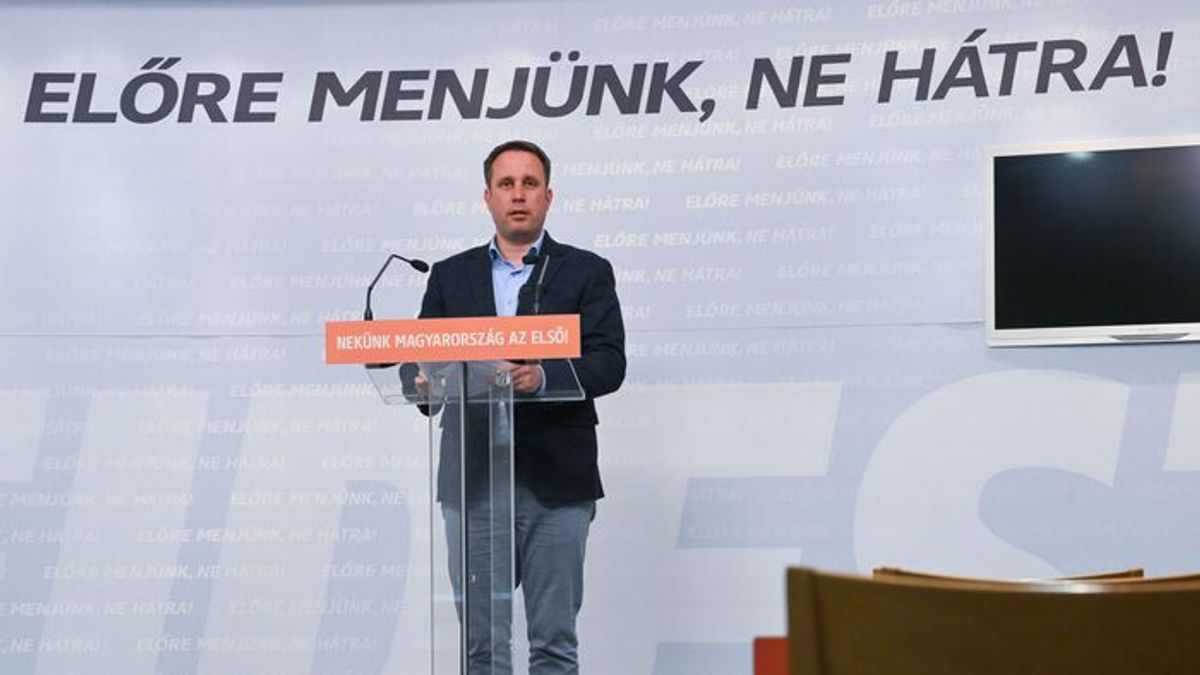 Fidesz MEPs Accuse European Commission of Interfering in Hungary's Elections