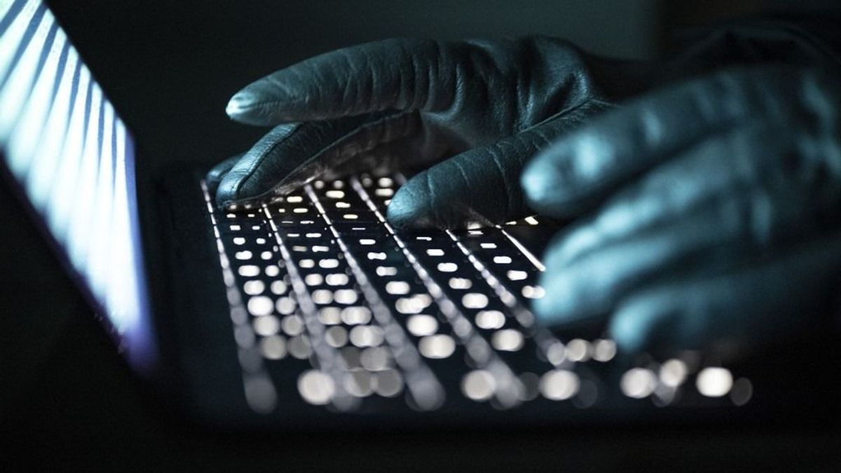 Kiberbűnözőkön ütött rajta a nemzetközi akciócsoport