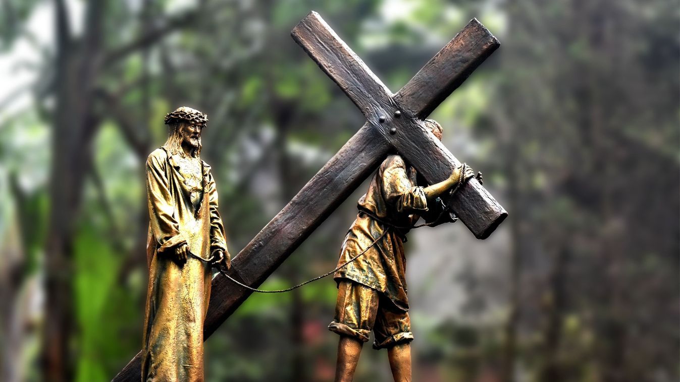 Cikk kép: undefined