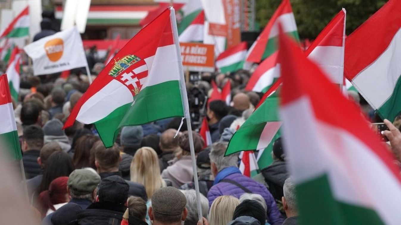 Cikk kép: undefined