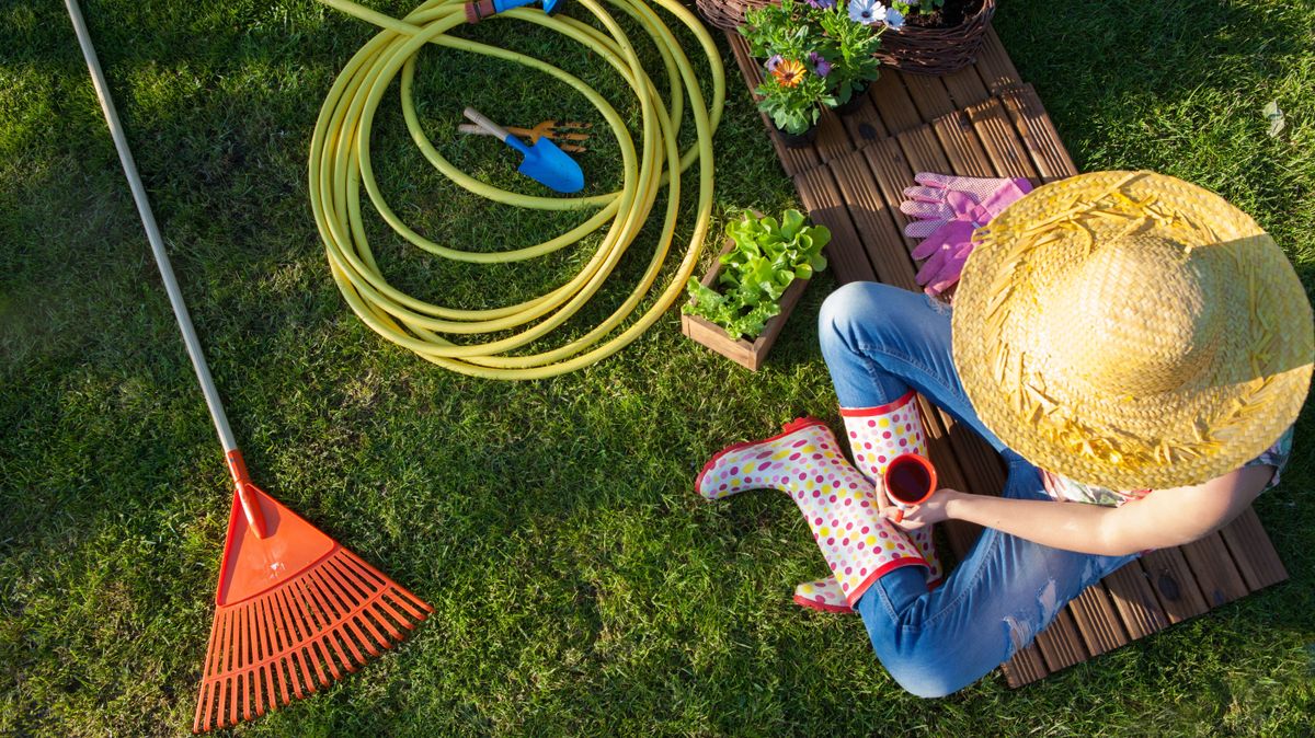 Igényes, ingyenes kiadvánnyal jelentkezett a NAK: örülhetnek a hobbi- és profi kertészkedők