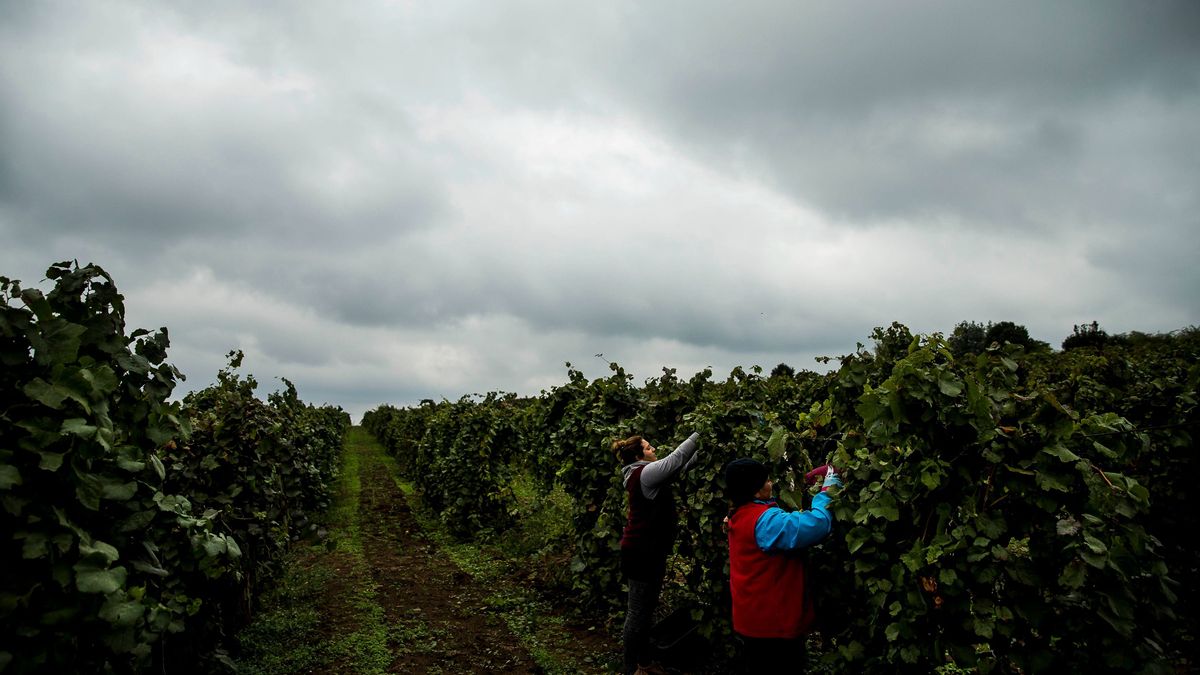 Energiaválság tombol a világban, Brüsszel vámpolitikája pedig csak ront a gazdák helyzetén