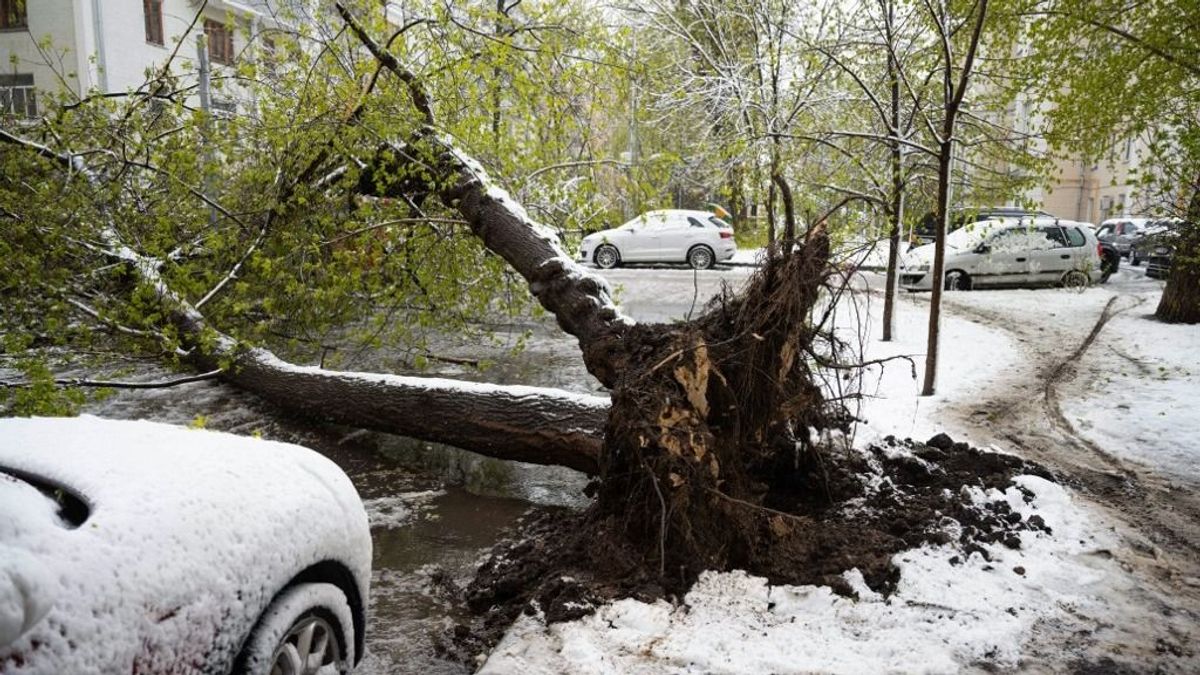 Elképesztő havazás csapott le, négy évtizede nem volt ilyen + videó
