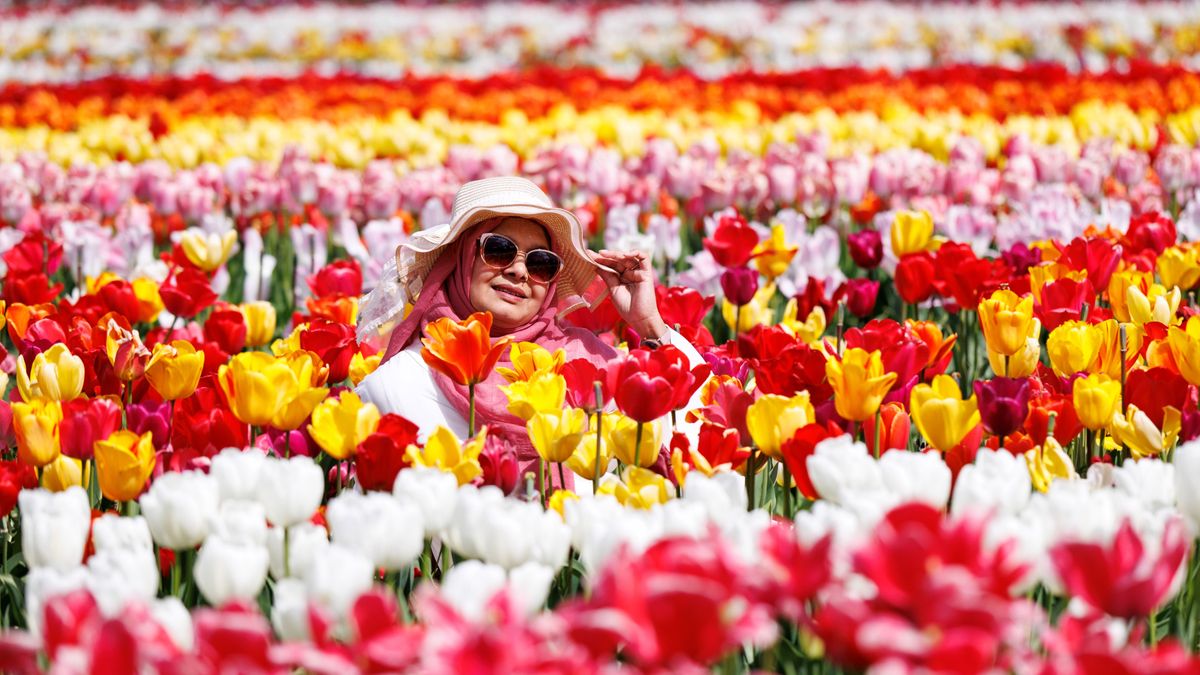 Hamarosan érkezik az idei tavasz csúcspontja, aztán jó időre búcsút is inthet az idillnek