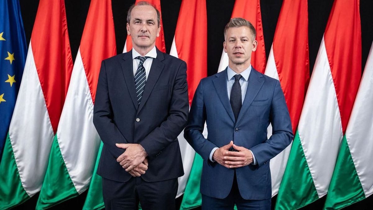 Hegedűs Zsolt felülvizsgálja az állami kórházak VIP-részlegeit