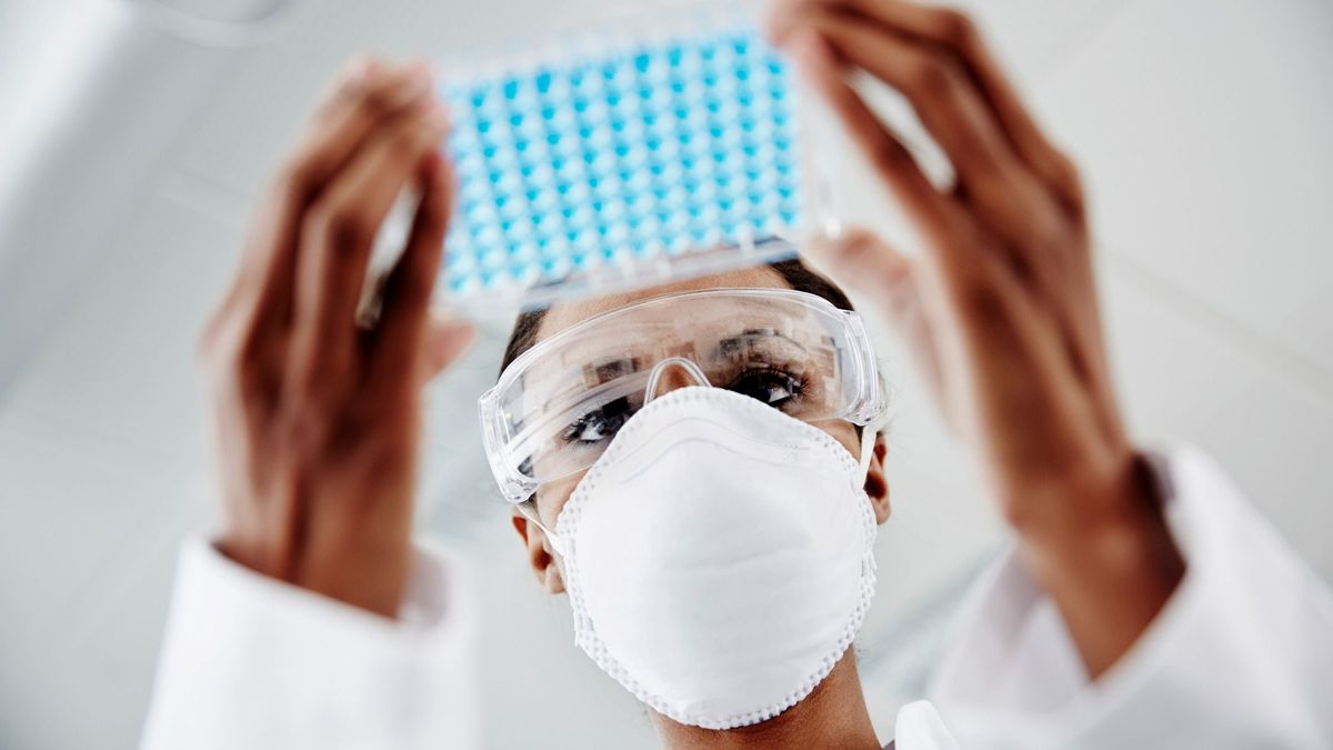 Új partnerség a tehetséges roma hallgatók támogatására