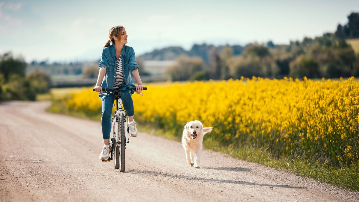 Visszatérnek a mínuszok, hózápor is jöhet + videó
