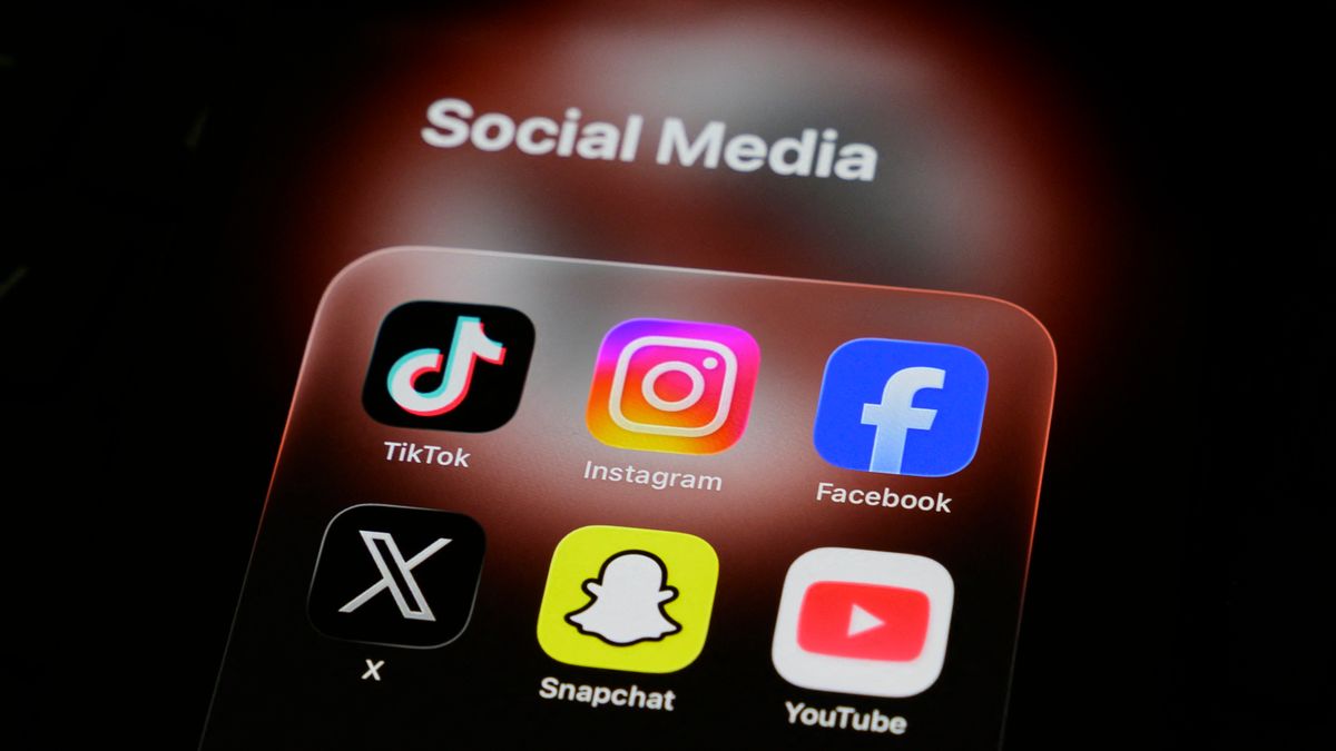 Állatkert, Balaton, TikTok