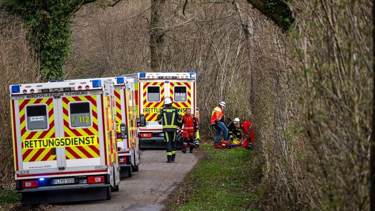 Húsvéti tojáskeresés közben dőlt rájuk a fa: három halott Németországban