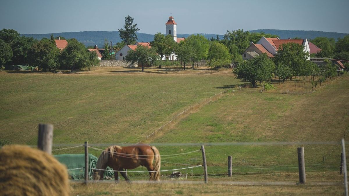 Milliárdos támogatás érkezik tanyafejlesztésre, megkezdődött a pályázatok elbírálása