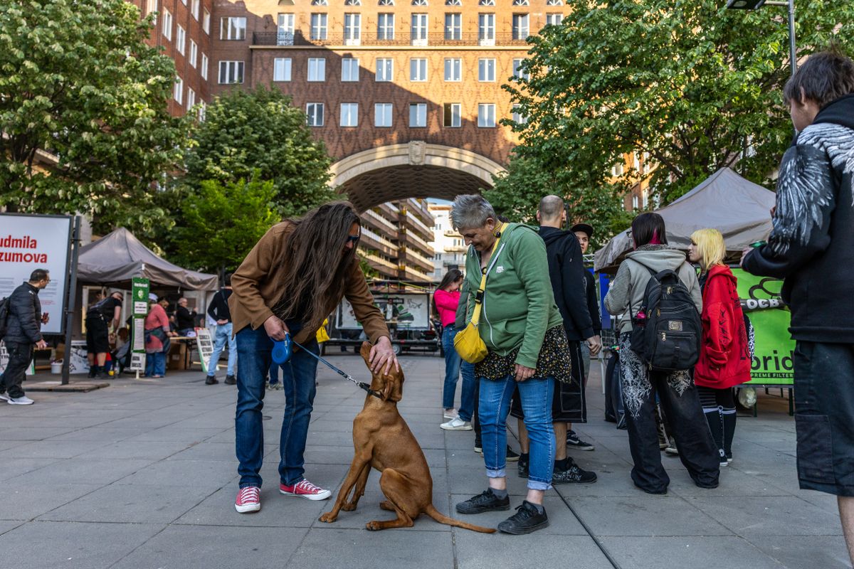 Drogháború ellenes gyűlés a Madách téren
Magyar Kétfarkú Kutya Párt - MKKP
