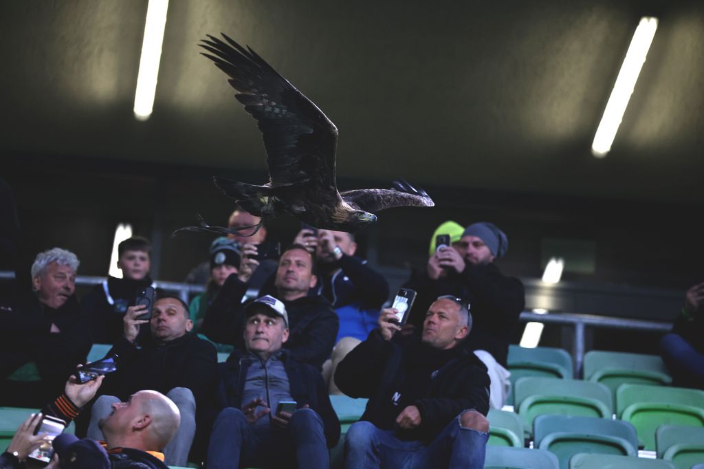 FTC-Győri ETO MK elődöntő