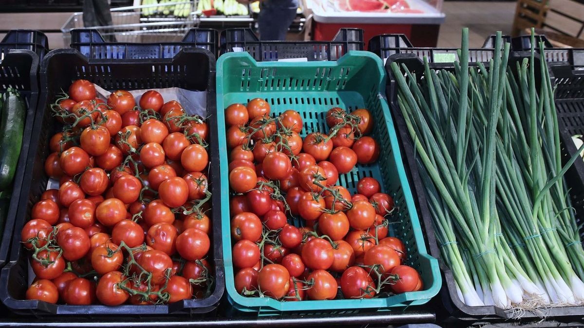 Krízis Marokkóban, nyomás Európában – ki nyeri a paradicsomcsatát?