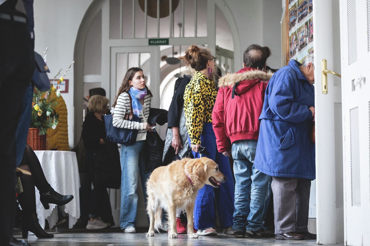 szavazás, választás