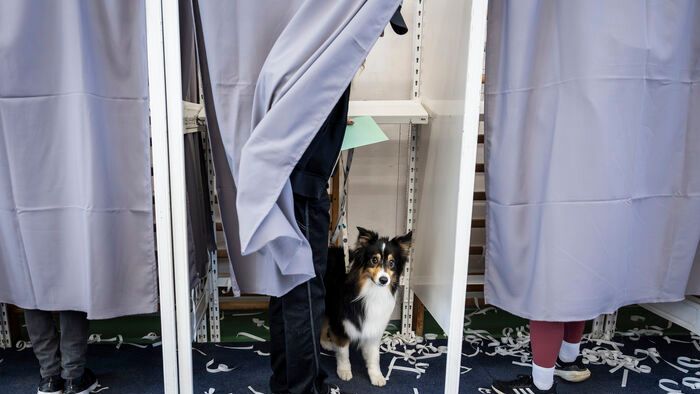 választás szavazás