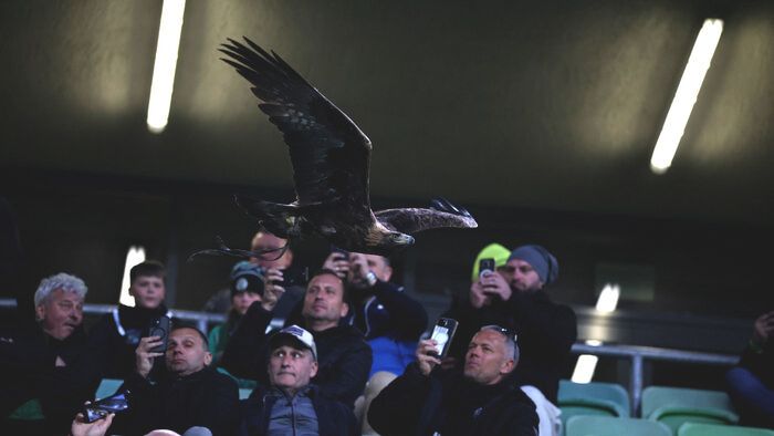 FTC-Győri ETO MK elődöntő