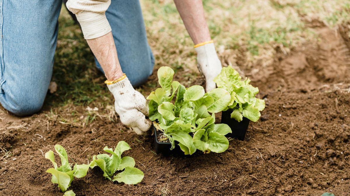 Két kézzel nyugalmat teremteni – miért van szükségünk fizikai munkára?