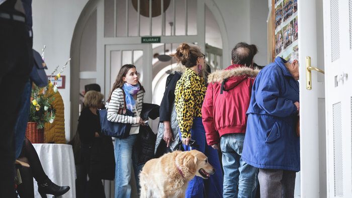 szavazás, választás