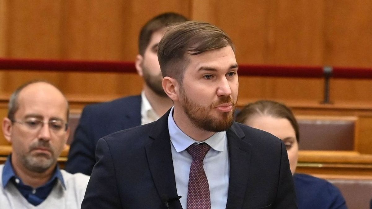 Magyar Péter, Gelencsér Ferenc