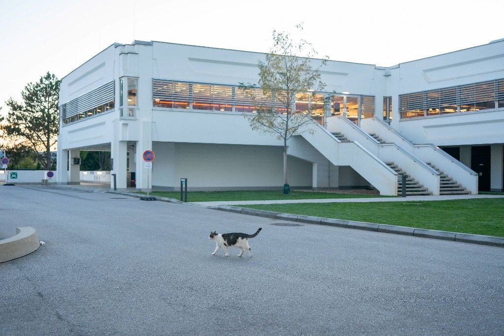 Elmarasztaló döntést hozott az osztrák kommunikációs hatóság az ORF ellen (Illusztráció, forrás: APA-PictureDesk via AFP)