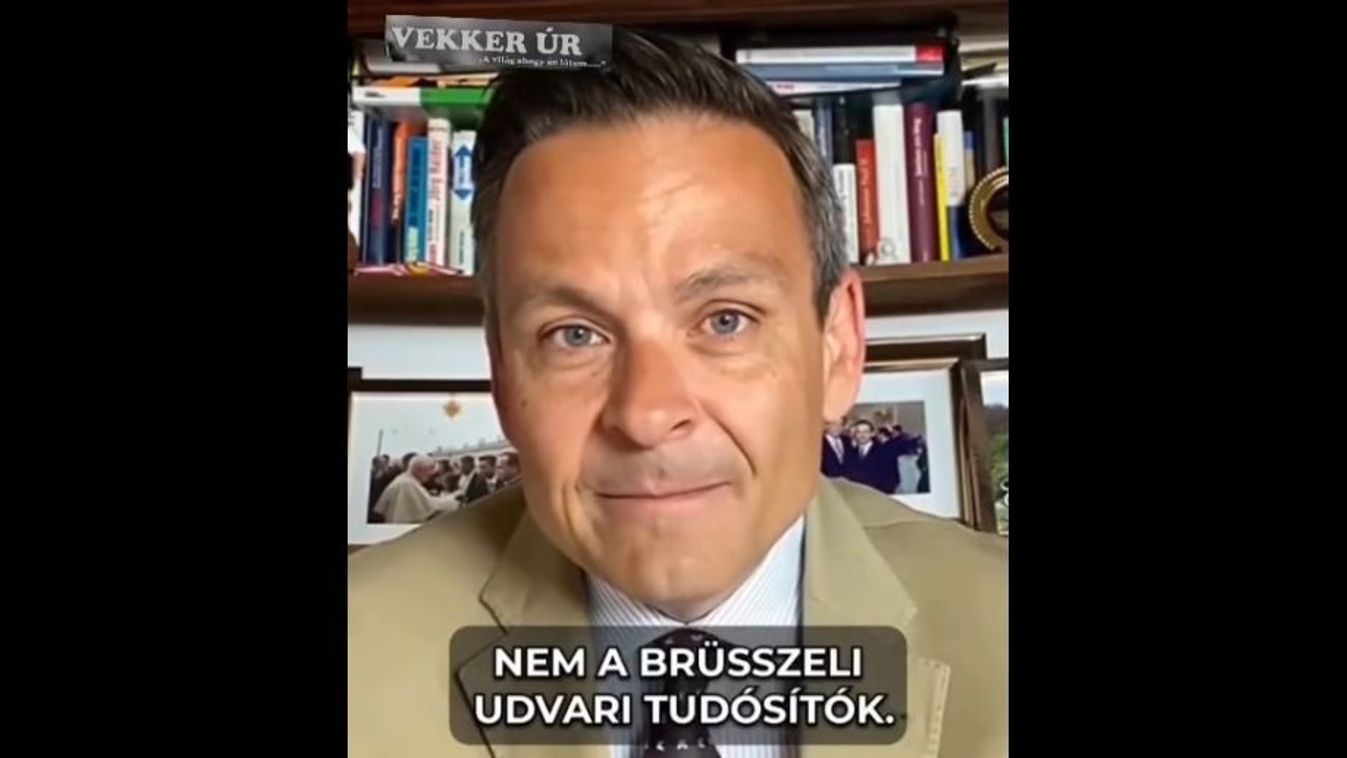 Cikk kép: undefined