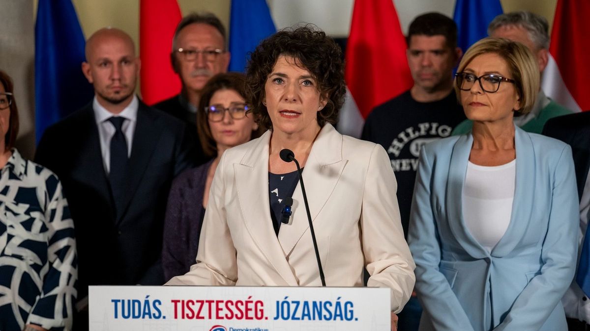 Júniusban választ új elnököt a Demokratikus Koalíció