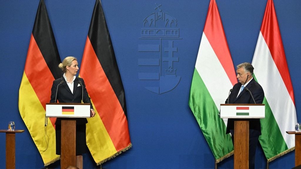 Alice Weidel: Orbánról lehet szavazni, Von der Leyenről nem lehet