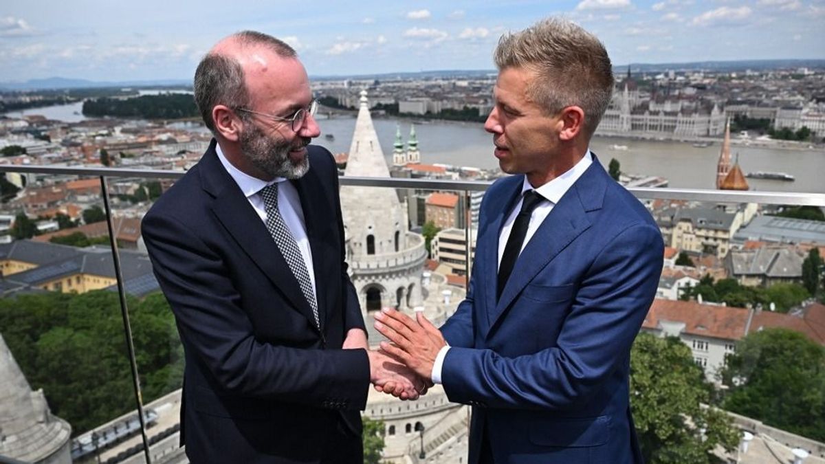 Magyar Péter elárulta a terveket: Európa háborúra készül