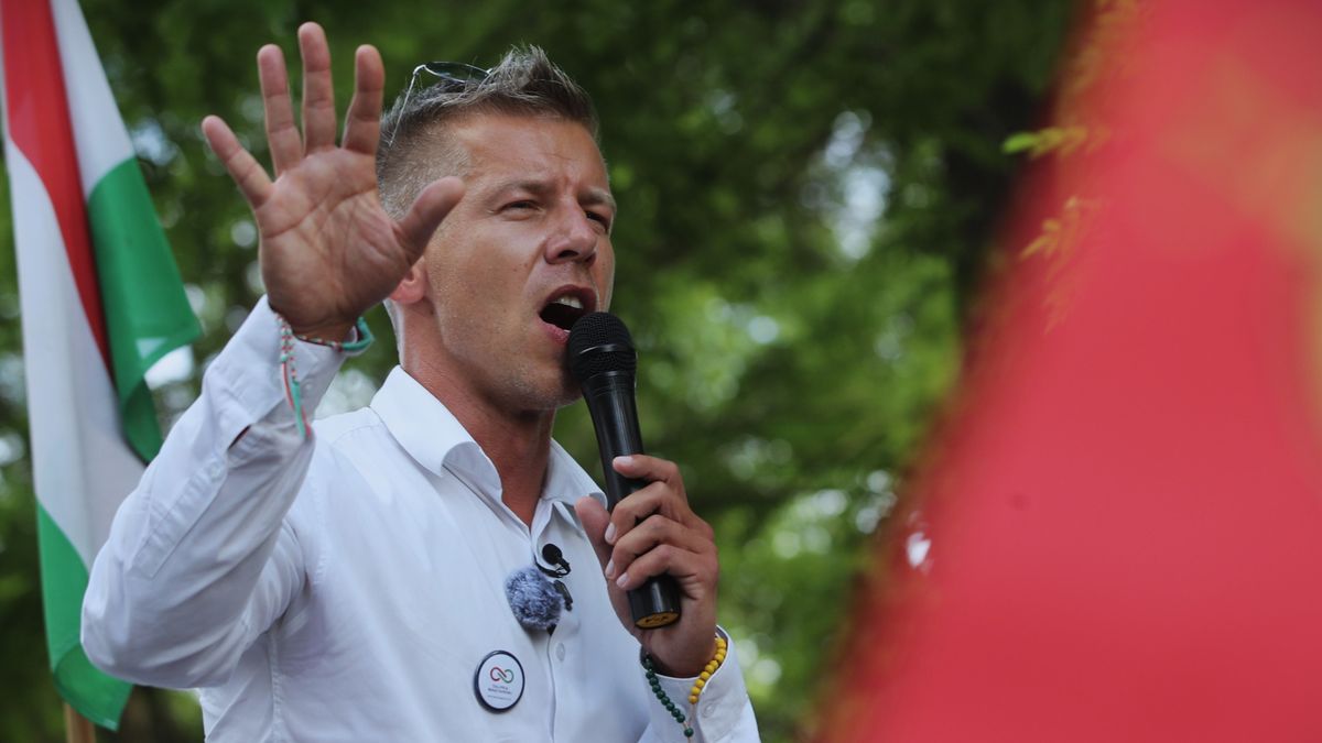 Magyar Péter lelepleződött, erre bérelték fel