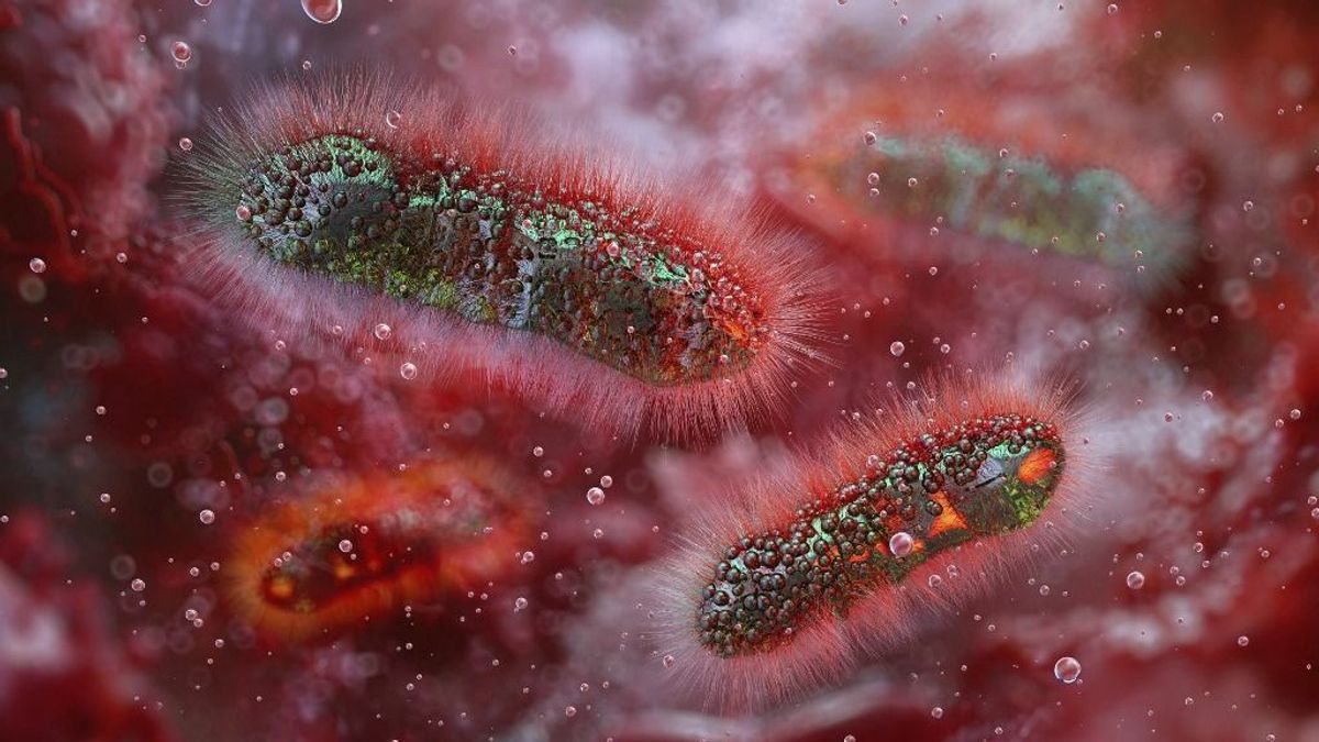 Riasztó a járvány: antibiotikumoknak ellenálló baktérium támad