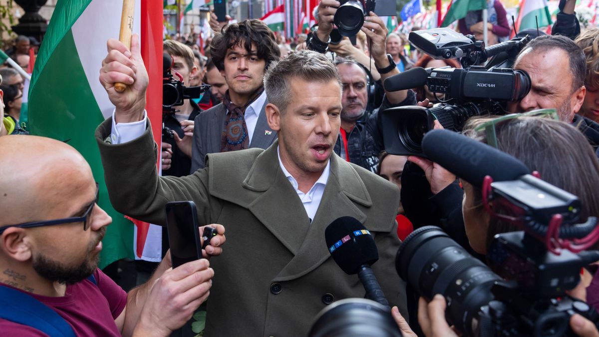 Fizetős egészségügyet akar a Tisza, a gyerekek után is kellene fizetni az ellátásért + videó