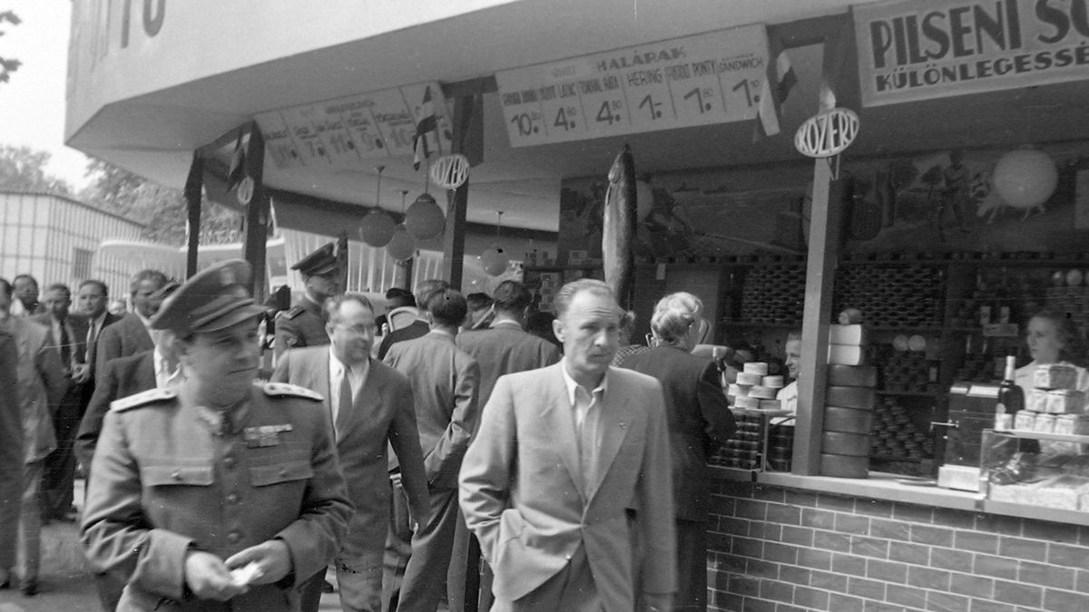 Múltnyomozás mesterfokon a Veritastól