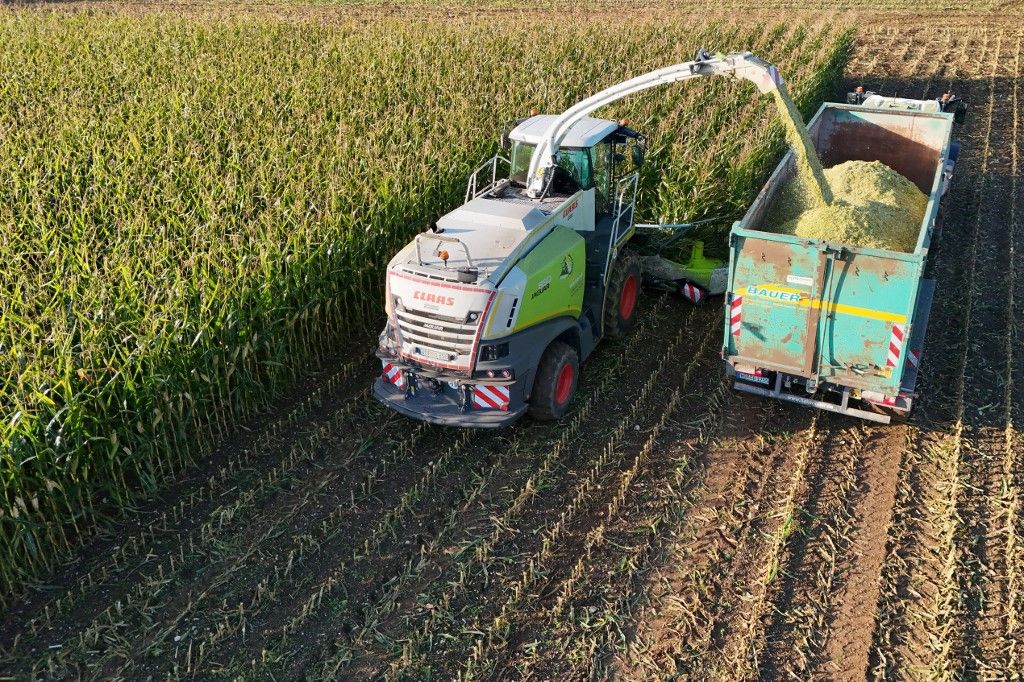 Corn harvest. Harvester, chopper. Reloading the corn harvest. A Claas combine harvester at work, mowing a field of corn, harvest, grain harvest, in a field near Haar on October 2, 2025. (Photo by Frank Hoermann / SVEN SIMON / SVEN SIMON / dpa Picture-Alliance via AFP)